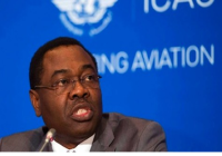 ICAO President charges aviation agencies on capacity building