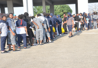 241 Nigerians begged to return from Libya