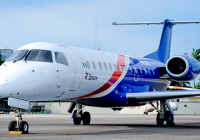 Airlines Explore Niche Option For Survival