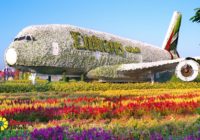 COVID-19 Travel restrictions: Politics or necessity?