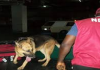 Assist us to expose drug couriers, NDLEA tells Air Peace as carrier set for int’l operations