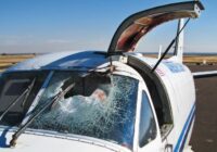 Airlines record 93 bird strikes, lose over N20 billion to menace annually