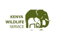 Fahari Aviation Participates in Kenya’s First National Wildlife Census