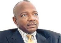 Nigerian airlines not profitable, Iyal seek FG’s support