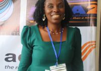 How Nigeria Can Replicate World-Class Transport Systems- Ngwama