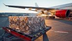 Nigeria’s Agricultural Export Ambition Takes Flight: A Critical Look at the New Air Cargo Drive Nigeria’s Agricultural Export Ambition Takes Flight: A Critical Look at the New Air Cargo Drive