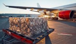 IATA: Africa Outpaces Global Average in Air Freight Growth Despite Headwinds