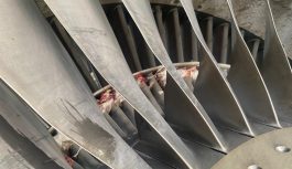 United Nigeria Airlines grounds two airplanes over bird strikes